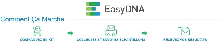 etapes-test-ADN-Easy-DNA