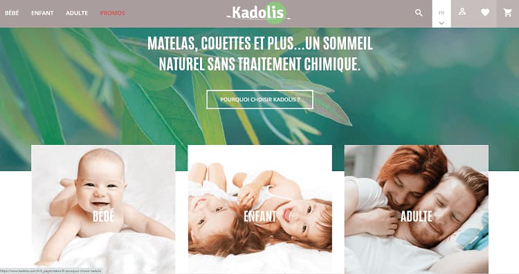 haut-page-accueil-www.kadolis.com
